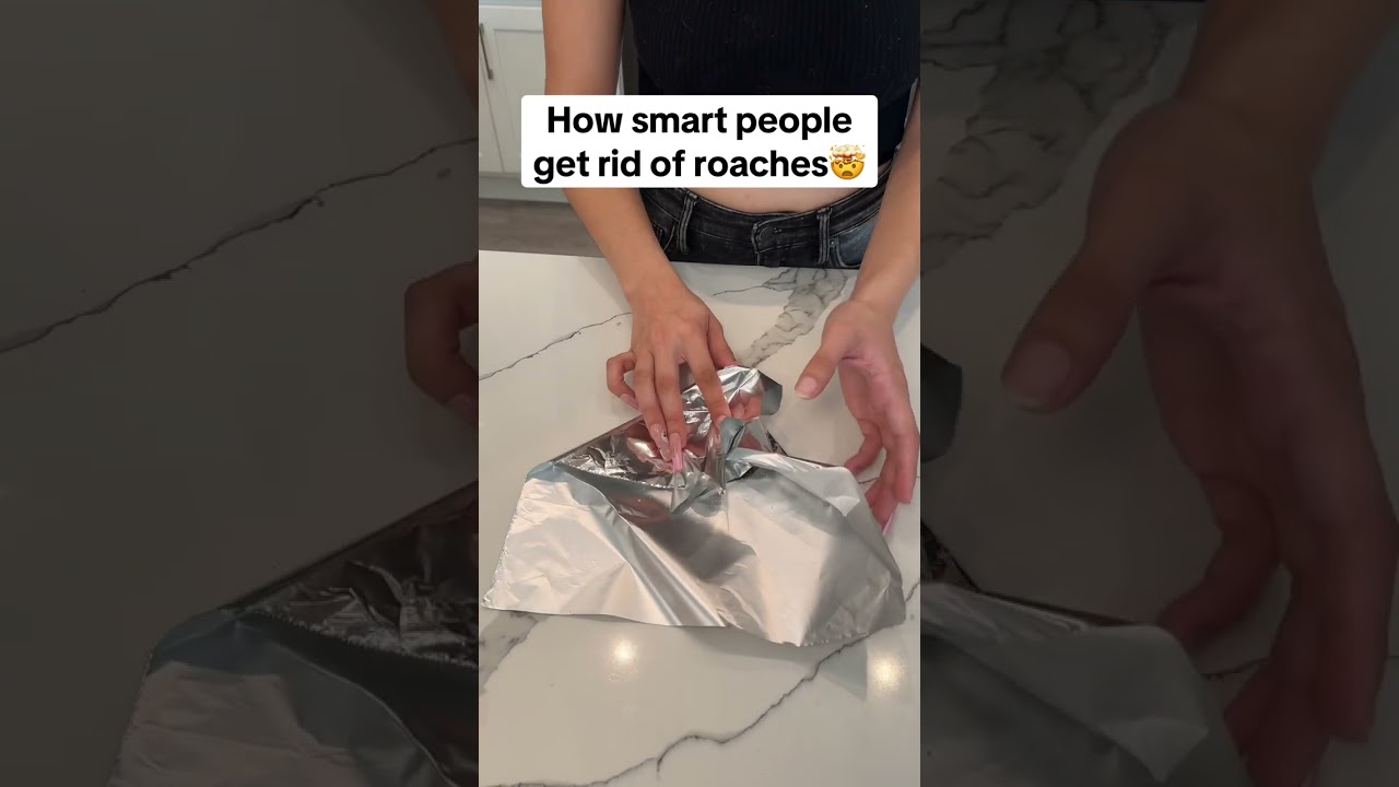 Essential life hacks to outsmart roaches and pests 
