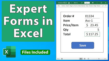 Build Professional Forms in Excel - Data Entry Professional