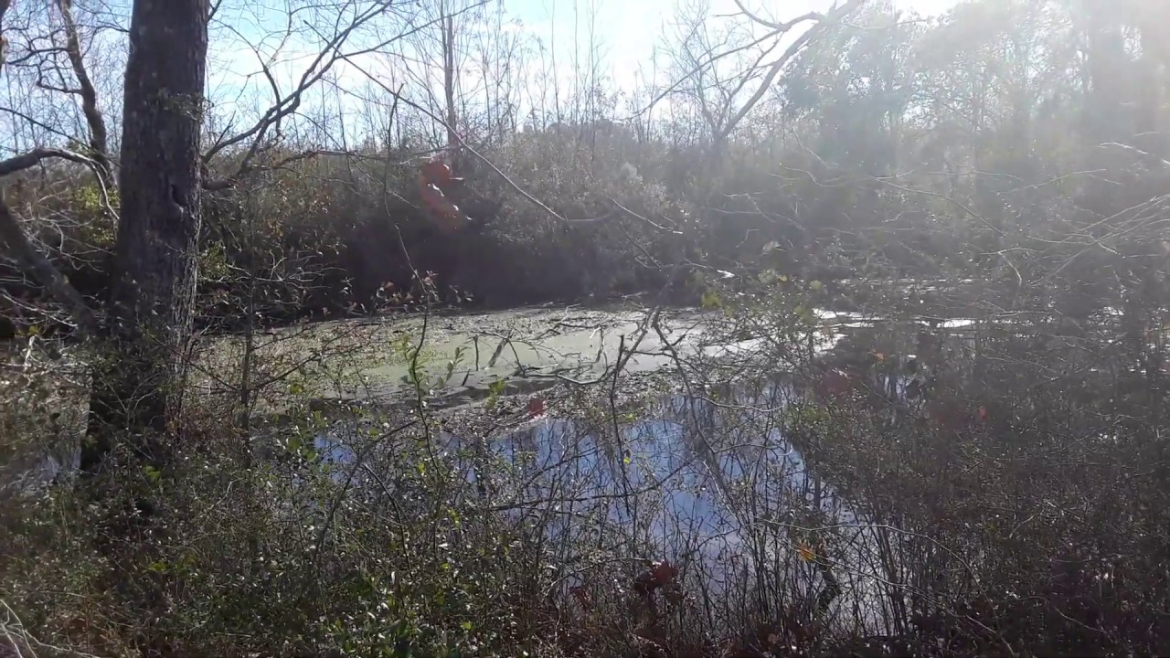 The Ole Swimming Hole (Memory) - YouTube