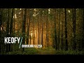 Keofy -  Gribochki v lesu