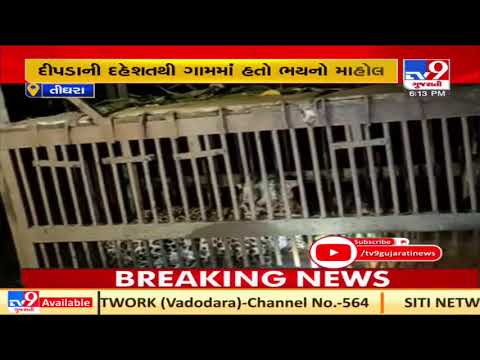 Valsad: Dreadful leopard trapped in cage in Tighra village| TV9News