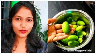 Kundru Ki Sabji Banai | Indian Housewife Daily Routine | Indian Vlogger Vaidehi | Hindi Vlog