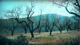 WebSpot Hotel Restaurante Alahuar Versión XL