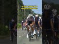 A snack or a spell ? #tdf25 #cycling #shorts