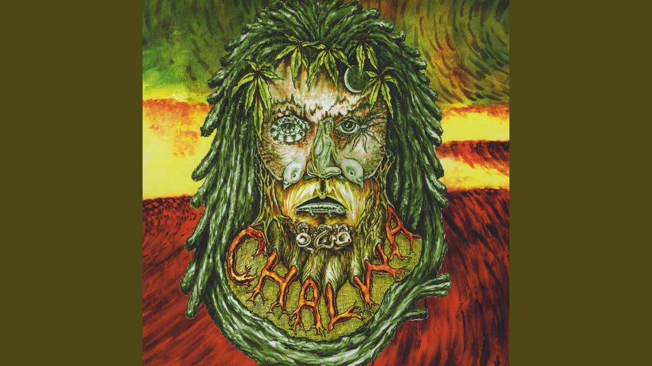 Watch Universal Seed on YouTube Watch Universal Seed on YouTube