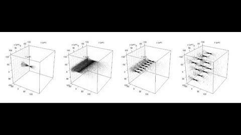 Monte-Carlo simulation of confocal photon signal positions in tissue