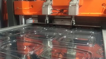 ER 70-3 XL thermoforming machine PET clamshell production