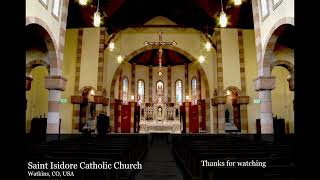 Seventh Sunday after Pentecost, July 12, 2026