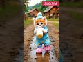 Dudi Dudi Dam Dam Shortsfeed Cat Catshorts Dudidudidam Cocomelonbunny Dudi Dudi Dam Dam Shortsfeed Cat Catshorts Dudidudidam Cocomelonbunny