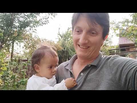 მარწყვის ნერგები საჩუქრად