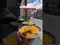 Sissu Itinerary #sissu #manali @kraviings #viral