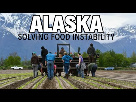 Alaska Food Co Solving A 3 Billion Food Problem 