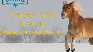 Product Spotlight: Winter Turnout Blanket for Horses