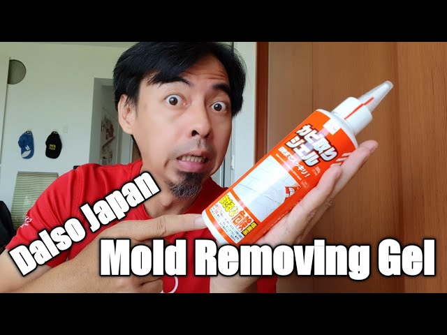 Household Mold Remover Gel Review 2022 - Does It Work? 