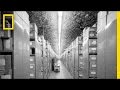 Inside This Mountain, Old Films Live Forever | National Geographic