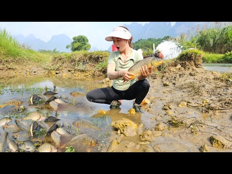 The girl used a pump to suck water out of the deep pool and caught many ...