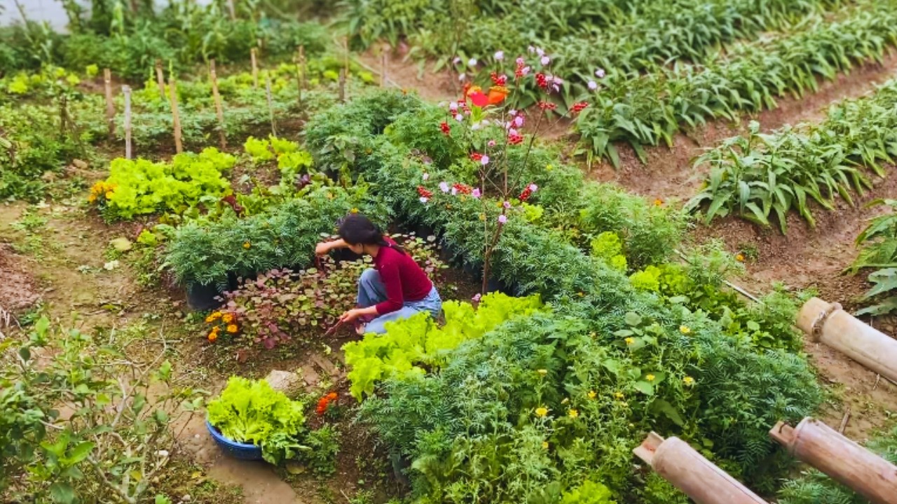 Seasonal Slow Living I Farmhouse Cooking I March Garden Prep 🌿