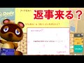 【あつ森】住民に恋愛や「たぬきち関係」の手紙を送ると・・・返事は来るのか？【あつまれどうぶつの森】【メッセージカード】