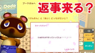 【あつ森】住民に恋愛や「たぬきち関係」の手紙を送ると・・・返事は来るのか？【あつまれどうぶつの森】【メッセージカード】