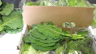 Bell Organic, CSA Early Spring Veggie Share, Week 1 Box