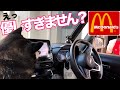 【神対応】 柴犬がマクドナルドのドライブスルーに現れた時の対応が優しすぎました（№329）