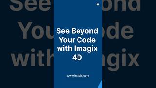 Imagix 4D Source Code Analysis Tool