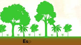 Diseño agroforestal y restauración ecológica