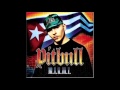 Pitbull - Dirty (ft. Bun B)