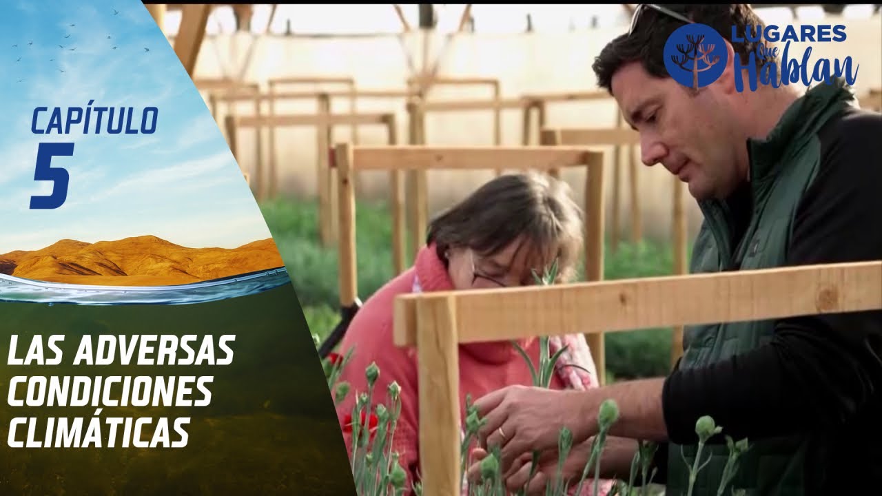 Lugares que Hablan, Temporada 12, Petorca en la Región de Valparaíso | Canal 13