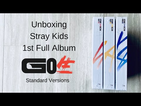 straykids チャンビンGO生 IN生 STRAYKIDS (스트레이키즈) - 1ST ALBUM 'GO生' [FULL ALBUM