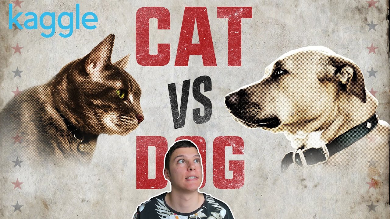 Classifying Cat vs Dogs | Kaggle Top 1%, No Ensemble