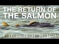 The Return Of The Salmon 2016