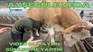 10 GÜN VİDEO PAYLAŞAMADIK ARADA NELER YAPTIK