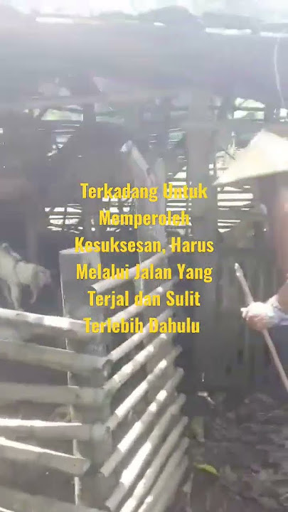 Bahkan Para Nabi pun Pernah Menggembala Kambing/Domba.