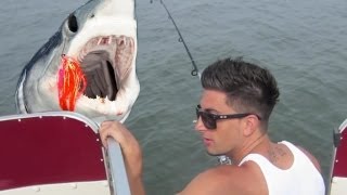SHARK FISHING