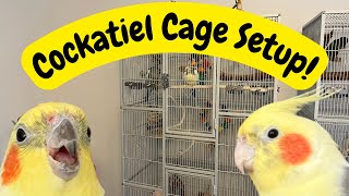 View of Cockatiel Cage Setup | Bird Cage Tips u0026 Ideas | The... | Doovi