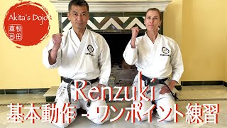 One point Training #3: Renzuki 空手の基本動作、連突き【Akita&#39;s Karate Video】   HD 1080p