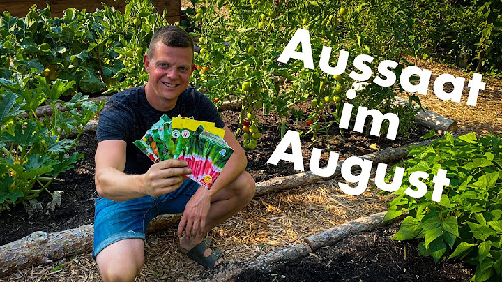 Aussaat im August | diese 8 Gemüsesorten solltest Du im August säen