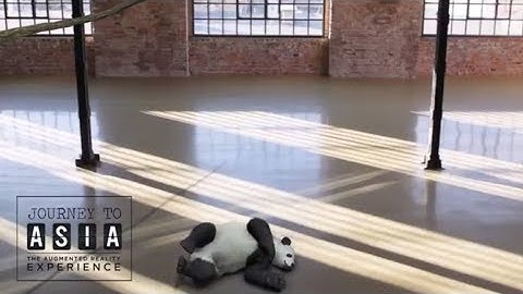 Journey to Asia 3D Augmented Reality Content Package for Large Screens by INDE