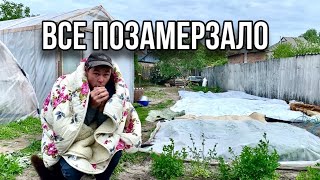 Що ж робити! Мороз покосив увесь город ! Гріємося як можемо!