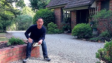 Witness - Introduction