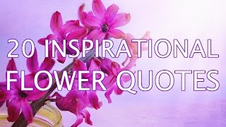 Positive quotes series: Inspirational Flower Quotes (slideshow video with beautiful flower photos)