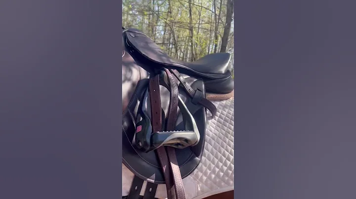 How beautiful is this new premier equine saddle! Worth every penny!❤️ #eventing #saddle - DayDayNews