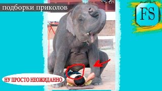 Свежие приколи,ржачные приколы,угар приколы-НУ ПРОСТО НЕОЖИДАННО Свежие приколи,ржачные приколы,угар приколы-НУ ПРОСТО НЕОЖИДАННО