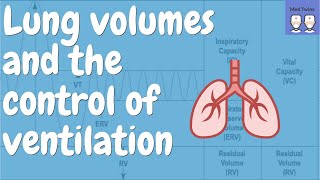 Basic lung volumes and control of ventilation [Chemoreceptors, Respiratory groups, Lung Capacity]