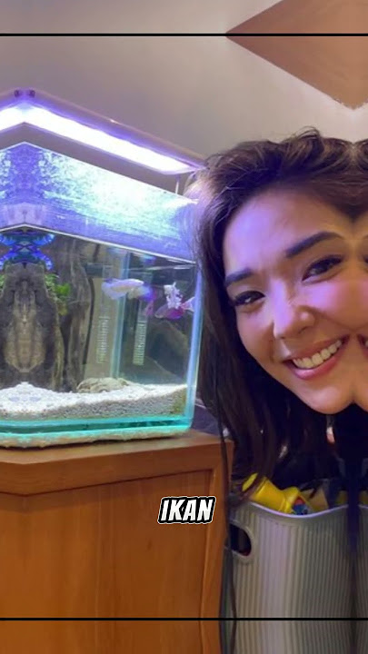 Ikan yang bisa dipelihara pada aquarium ukuran 30c #aquarium #ikanhias #ikanhiasaquarium
