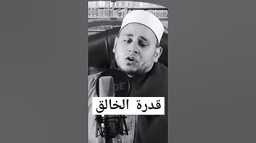 اجمل التلاوات الخاشعة.تلاوة من الخيال #سورة_مريم #تحميل_قران #music #cover #الشيخ _محمد_عثمان