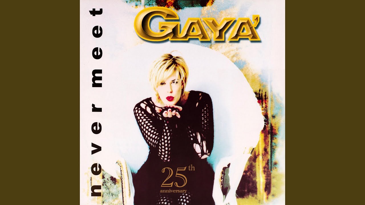 Never Meet (Fargetta Radio Edit)