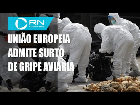 Vídeo: Myasnikov Alertou Sobre A Aproximação Da Epidemia De Uma Perigosa Gripe Aviária