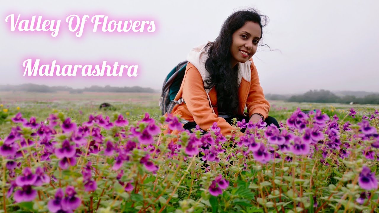 Kas Plateau Satara। Monsoon।A Complete Guide। Valley of Flowers in Maharashtra। Bengali vlog